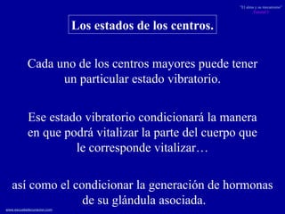 Los estados de los centros. Cada uno de los centros mayores puede tener un particular estado vibratorio. Ese estado vibratorio condicionará la manera en que podrá vitalizar la parte del cuerpo que le corresponde vitalizar… así como el condicionar la generación de hormonas de su glándula asociada. 