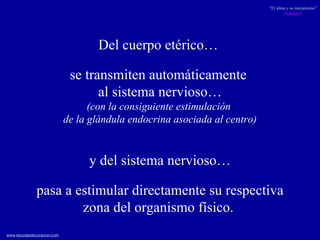 Del cuerpo etérico…  se transmiten automáticamente  al sistema nervioso… (con la consiguiente estimulación  de la glándula endocrina asociada al centro) y del sistema nervioso… pasa a estimular directamente su respectiva  zona del organismo físico.  