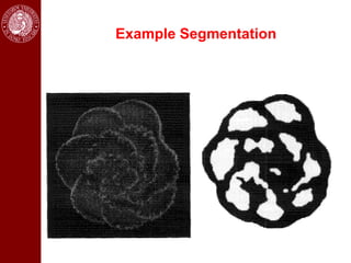 Example Segmentation
 