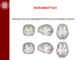 Activated Foci


Activation foci are calculated from the list of activation maxima
 