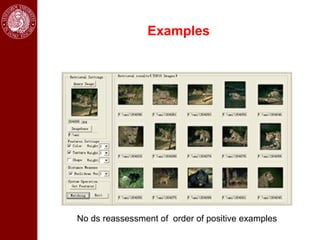 Examples




No ds reassessment of order of positive examples
 
