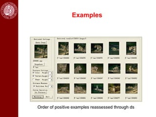Examples




Order of positive examples reassessed through ds
 