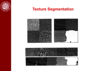 Texture Segmentation
 