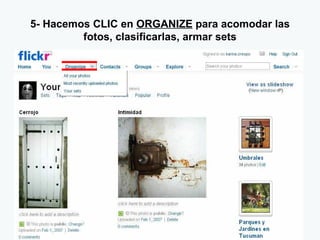 5- Hacemos CLIC en  ORGANIZE  para acomodar las fotos, clasificarlas, armar sets 