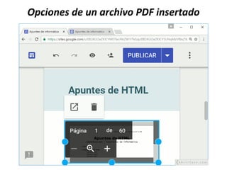 Opciones de un archivo PDF insertado
 