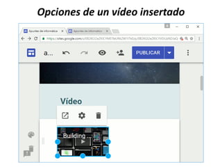 Opciones de un vídeo insertado
 