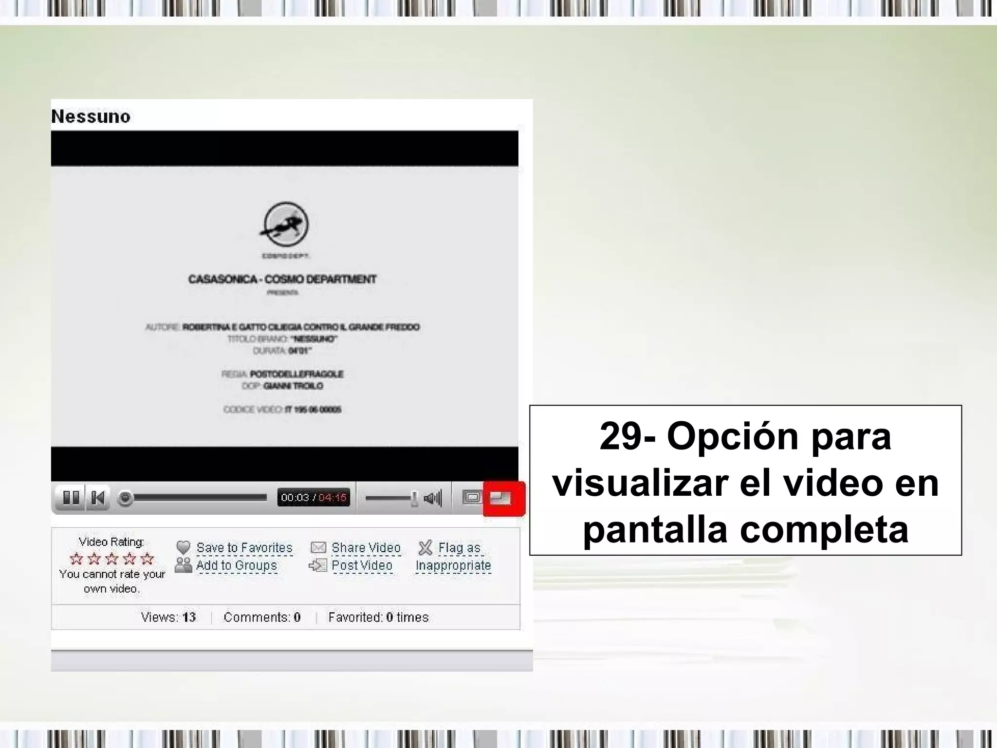 29- Opción para visualizar el video en pantalla completa 