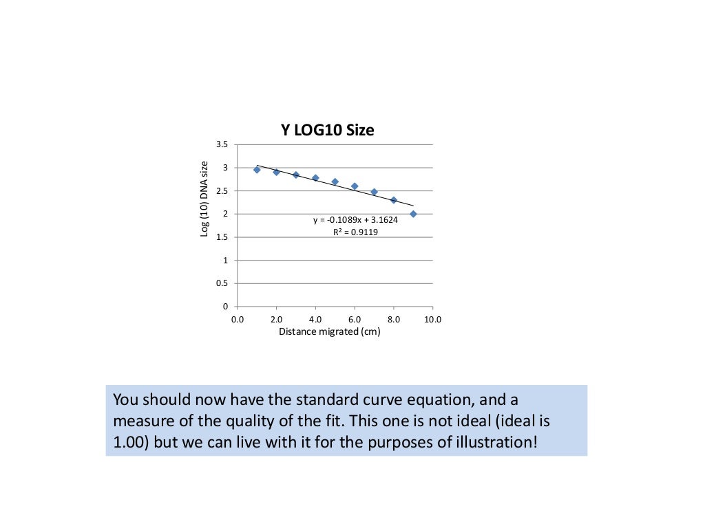 Tutorial how to make and use a standard curve gel electrophoresis