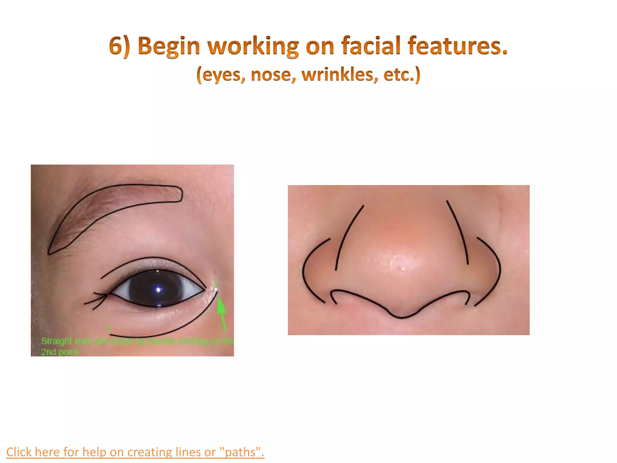 5) Bend your lines to the contour of the face.Click here for help on creating lines or &quot;paths&quot;.