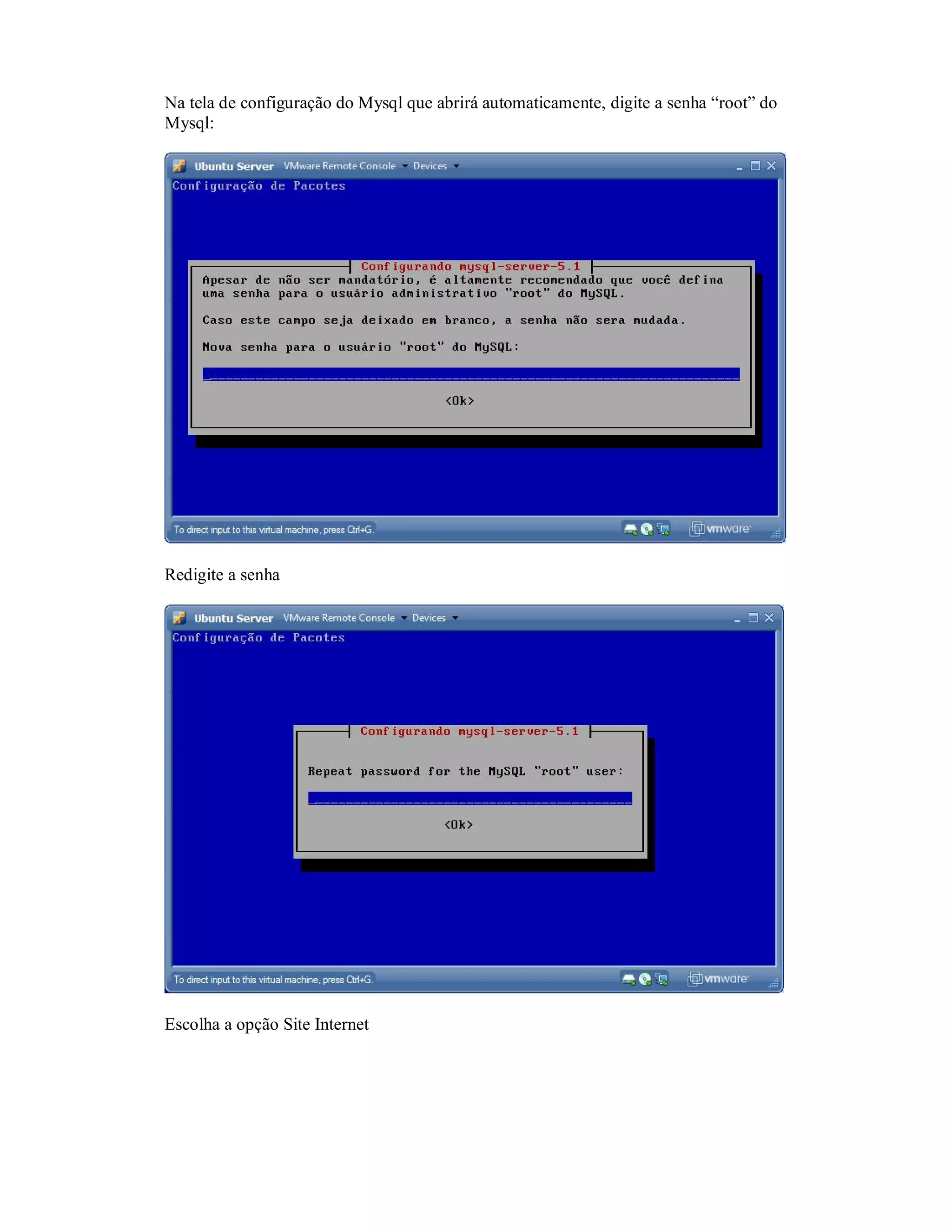 Na tela de configuração do Mysql que abrirá automaticamente, digite a senha “root” do
Mysql:
Redigite a senha
Escolha a opção Site Internet
 