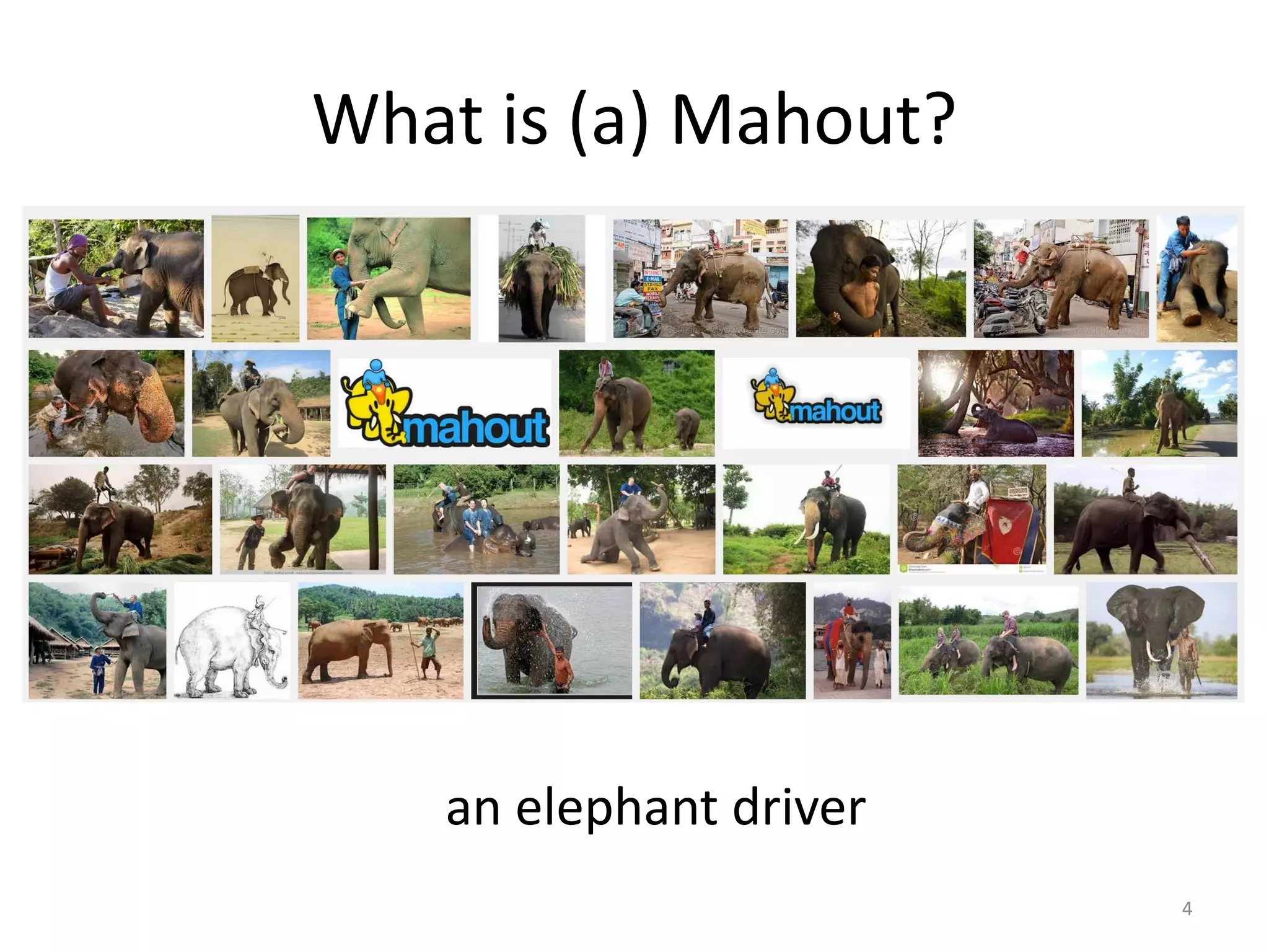 What is (a) Mahout?
4
an elephant driver
 