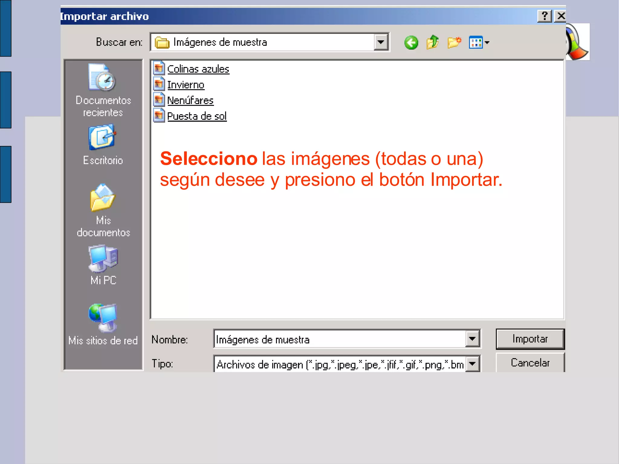 Selecciono  las imágenes (todas o una) según desee y presiono el botón Importar. 