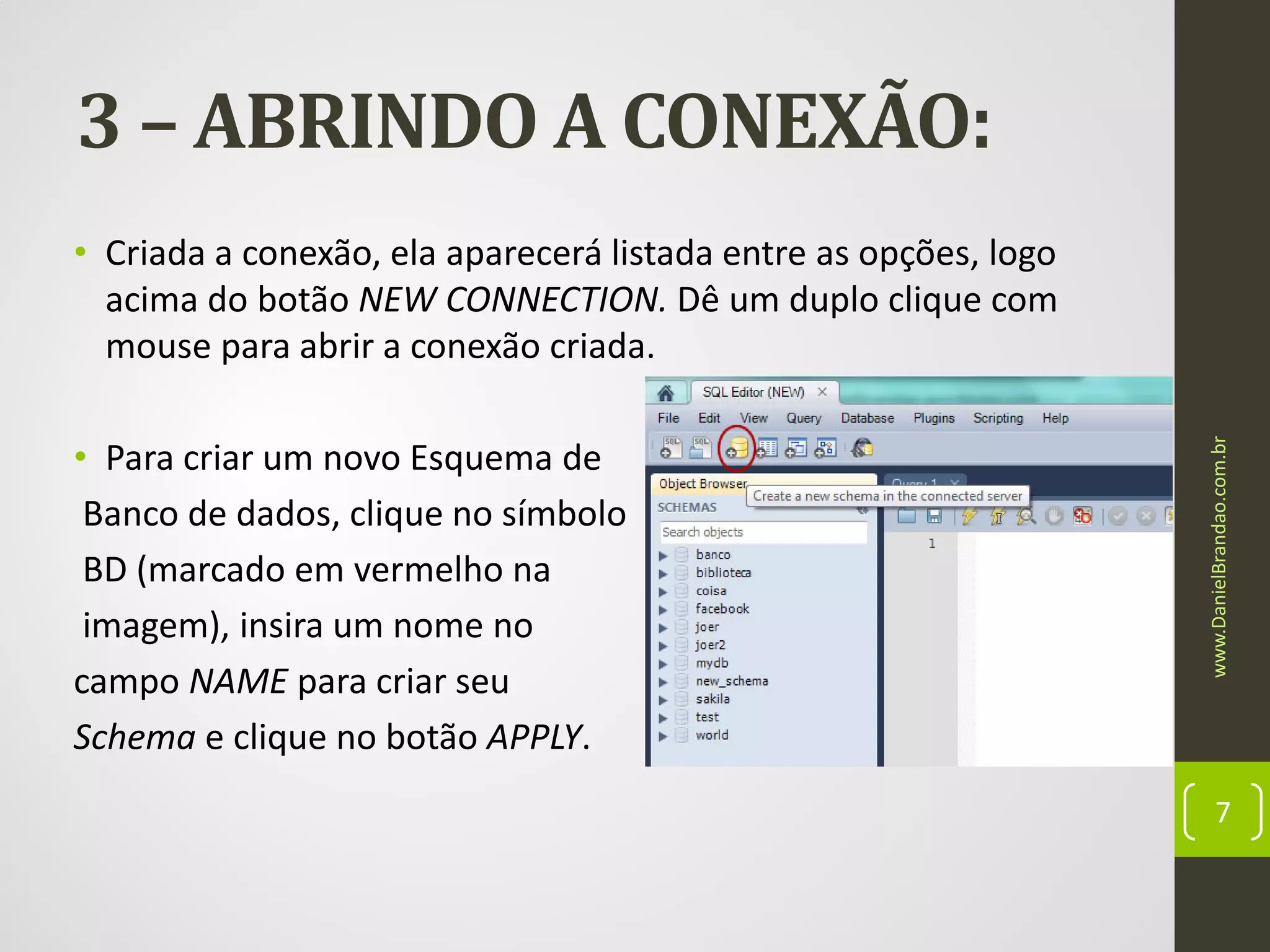 3 – ABRINDO A CONEXÃO:

• Para criar um novo Esquema de
Banco de dados, clique no símbolo
BD (marcado em vermelho na
imagem), insira um nome no
campo NAME para criar seu
Schema e clique no botão APPLY.

www.DanielBrandao.com.br

• Criada a conexão, ela aparecerá listada entre as opções, logo
acima do botão NEW CONNECTION. Dê um duplo clique com
mouse para abrir a conexão criada.

7

 
