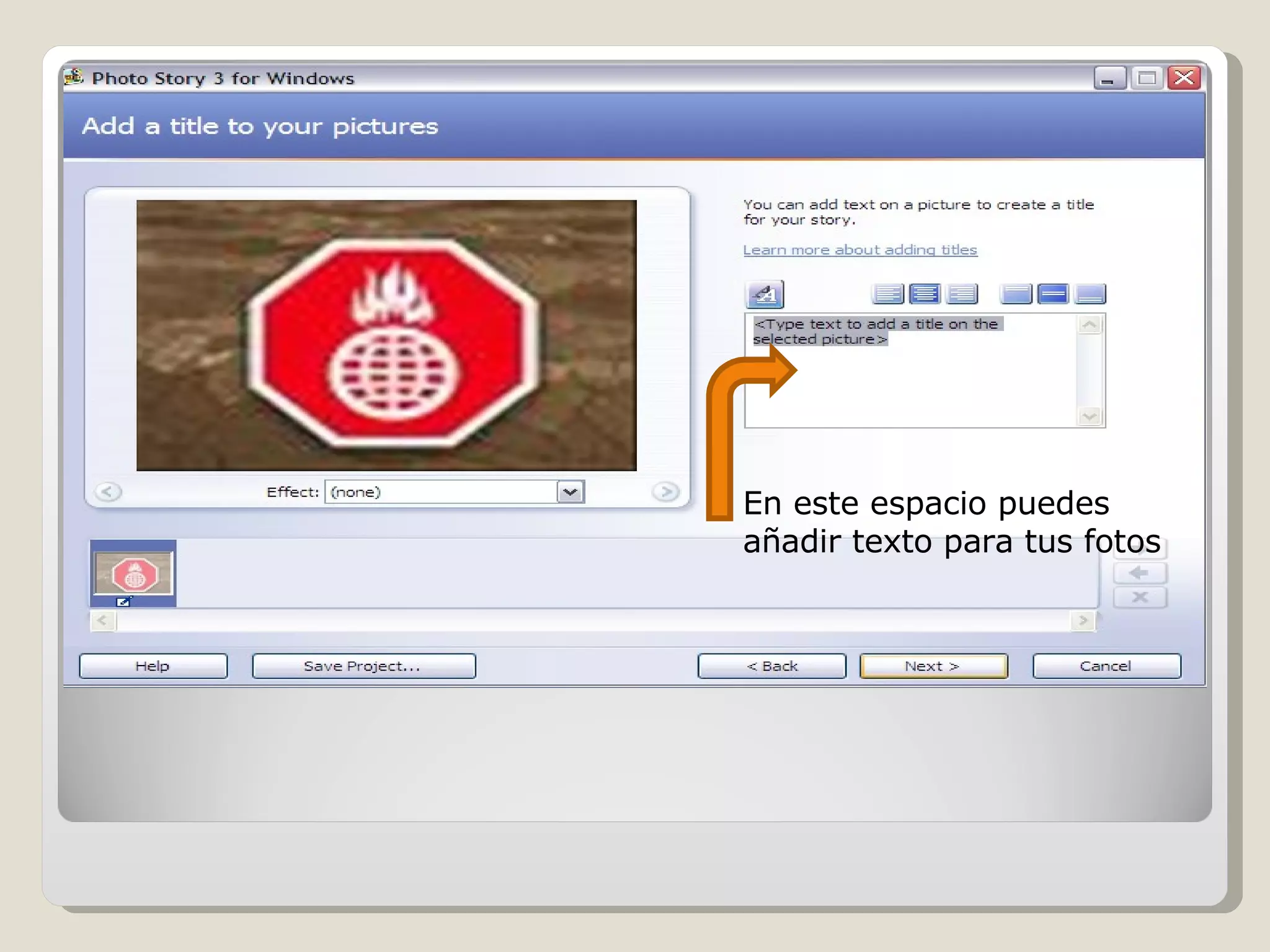 En este espacio puedes añadir texto para tus fotos 