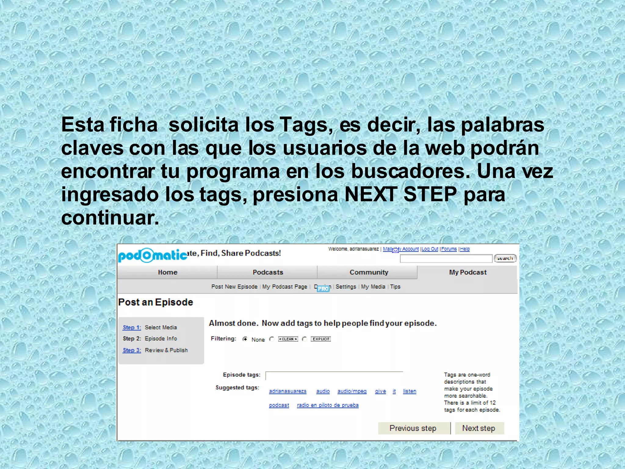 Esta ficha  solicita los Tags, es decir, las palabras claves con las que los usuarios de la web podrán encontrar tu programa en los buscadores. Una vez ingresado los tags, presiona NEXT STEP para continuar.  