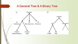 tutorial-tree (3).ppt