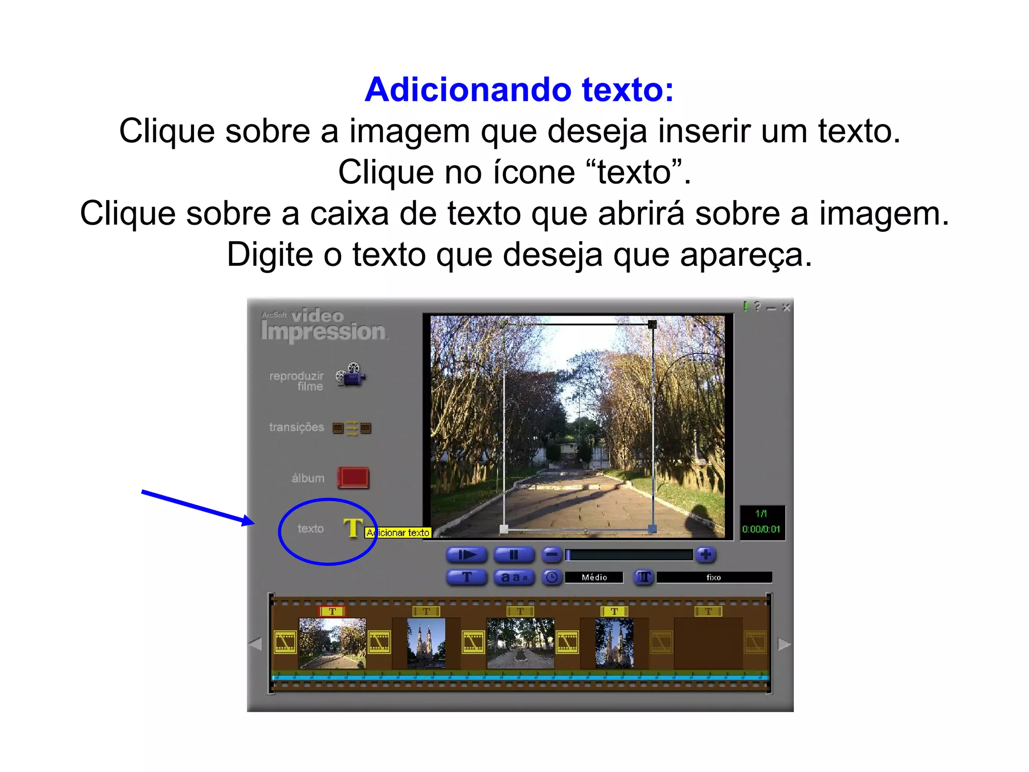 Adicionando texto: Clique sobre a imagem que deseja inserir um texto.  Clique no ícone “texto”.  Clique sobre a caixa de texto que abrirá sobre a imagem.  Digite o texto que deseja que apareça. 
