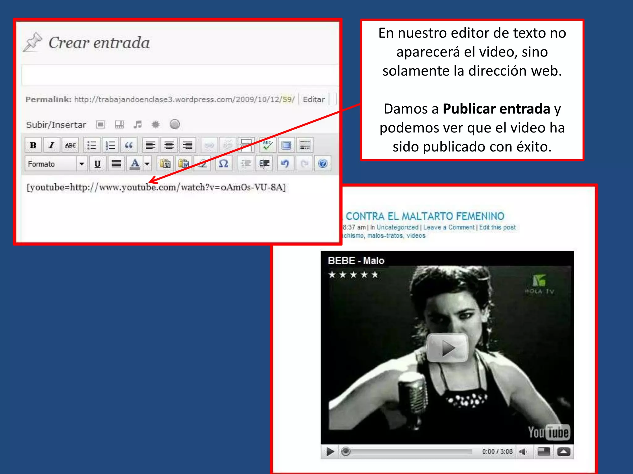 En nuestro editor de texto no aparecerá el video, sino solamente la dirección web.Damos a Publicar entrada y podemos ver que el video ha sido publicado con éxito.