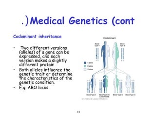 18
Medical Genetics (cont.(
Codominant inheritance
• Two different versions
(alleles) of a gene can be
expressed, and each
version makes a slightly
different protein
• Both alleles influence the
genetic trait or determine
the characteristics of the
genetic condition.
• E.g. ABO locus
 