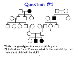 20
Question #1
1 2
• Write the genotypes in every possible place.
• If individuals 1 and 2 marry, what is the probability that
their first child will be sick?
 