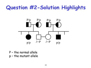 22
Question #2-Solution Highlights
P/p P/p P/p P/p
p/p p/pP-/ P-/
P – the normal allele
p – the mutant allele
 