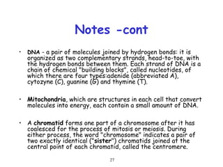 27
Notes -cont
• DNA - a pair of molecules joined by hydrogen bonds: it is
organized as two complementary strands, head-to-toe, with
the hydrogen bonds between them. Each strand of DNA is a
chain of chemical "building blocks", called nucleotides, of
which there are four types:adenide (abbreviated A),
cytozyne (C), guanine (G) and thymine (T).
• Mitochondria, which are structures in each cell that convert
molecules into energy, each contain a small amount of DNA.
• A chromatid forms one part of a chromosome after it has
coalesced for the process of mitosis or meiosis. During
either process, the word "chromosome" indicates a pair of
two exactly identical ("sister") chromatids joined at the
central point of each chromatid, called the centromere.
 