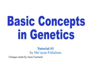 Tutorial #1 by Ma’ayan Fishelson Changes made by Anna Tzemach Basic Concepts  in Genetics 