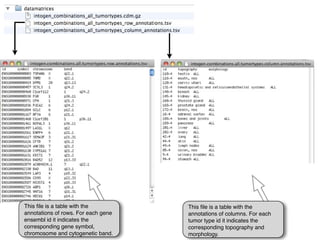 This ﬁle is a table with the         This ﬁle is a table with the
annotations of rows. For each gene   annotations of columns. For each
ensembl id it indicates the          tumor type id it indicates the
corresponding gene symbol,           corresponding topography and
chromosome and cytogenetic band.     morphology.
 