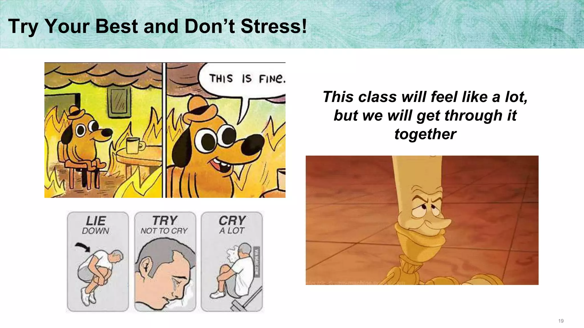 19
Try Your Best and Don’t Stress!
This class will feel like a lot,
but we will get through it
together
 
