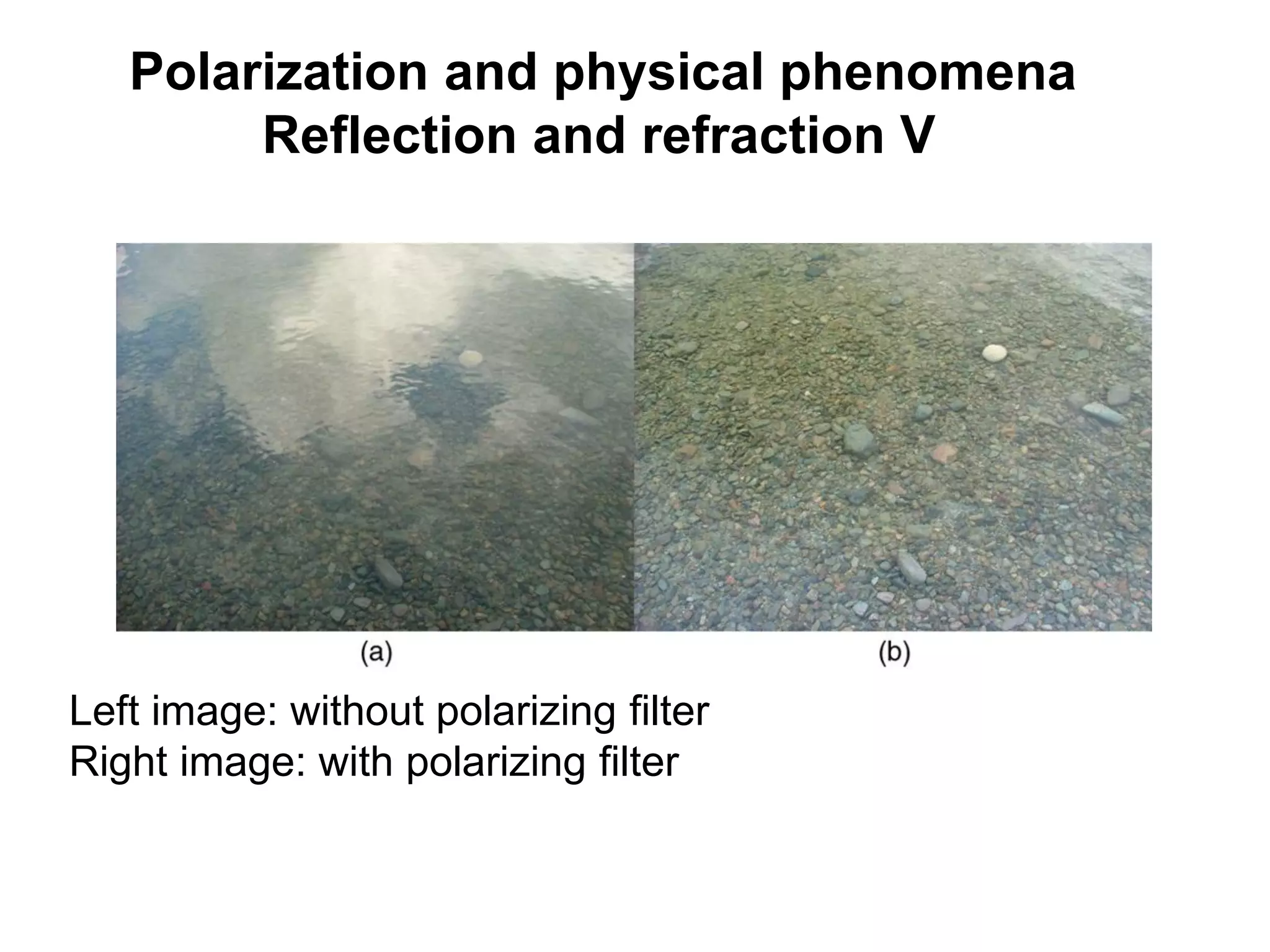 Polarization and physical phenomena
Reflection and refraction V
Left image: without polarizing filter
Right image: with polarizing filter
 