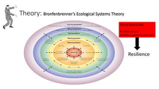 In Theory: Bronfenbrenner’s Ecological Systems Theory
Not all stress is bad
Positive stress?
Positive support structures?
Resilience
 