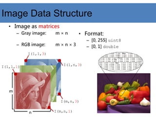 Image Data Structure
• Image as matrices
– Gray image: m × n
– RGB image: m × n × 3
• Format:
– [0, 255] uint8
– [0, 1] double
I(m,n,1)
I(1,1,1)
I(1,1,3)
I(m,n,3)
n
m
I(1,n,3)
 