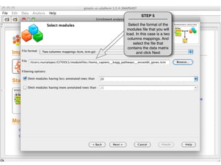 Tutorial 1.3 - Run Enrichment Analysis | PDF