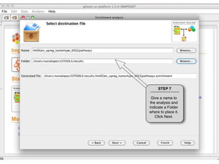 Tutorial 1.3 - Run Enrichment Analysis | PDF