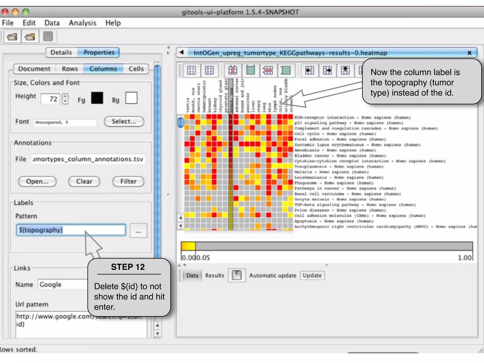 Now the column label is
                      the topography (tumor
                      type) instead of the id.




    STEP 12

Delete ${id} to not
show the id and hit
enter.
 