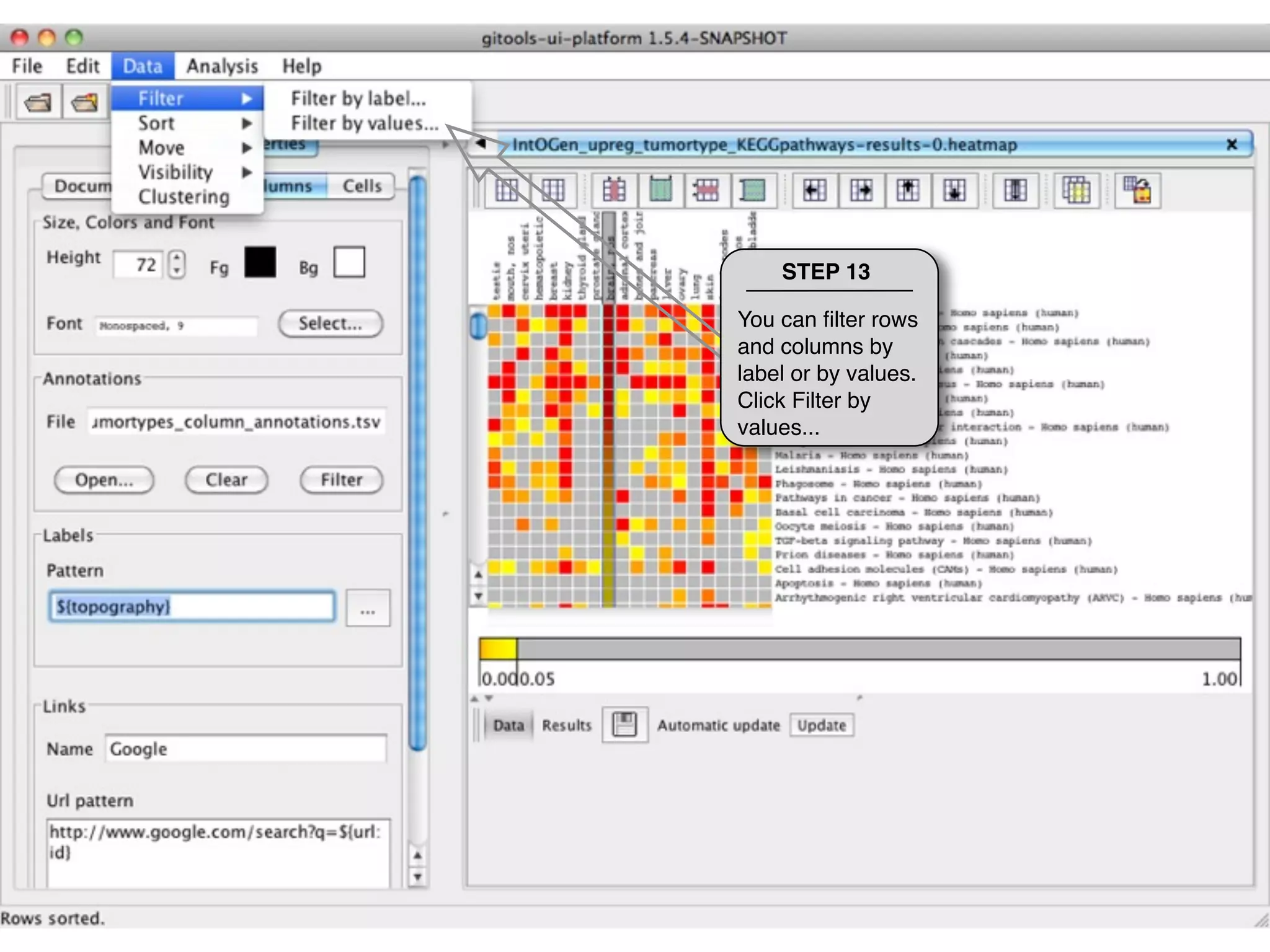 STEP 13

You can ﬁlter rows
and columns by
label or by values.
Click Filter by
values...
 