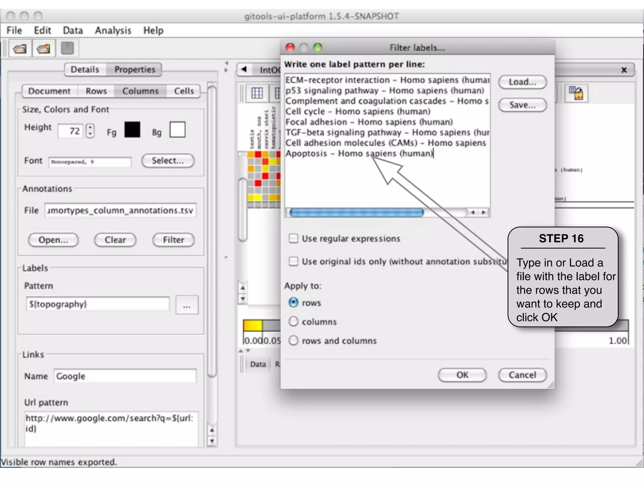 STEP 16

Type in or Load a
ﬁle with the label for
the rows that you
want to keep and
click OK
 