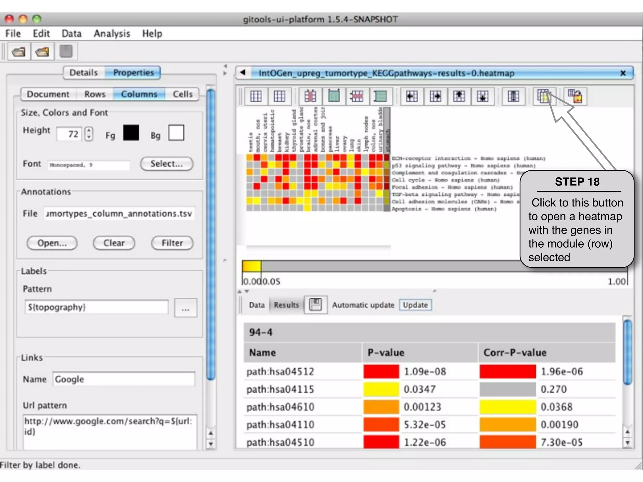 STEP 18
 Click to this button
to open a heatmap
with the genes in
the module (row)
selected
 