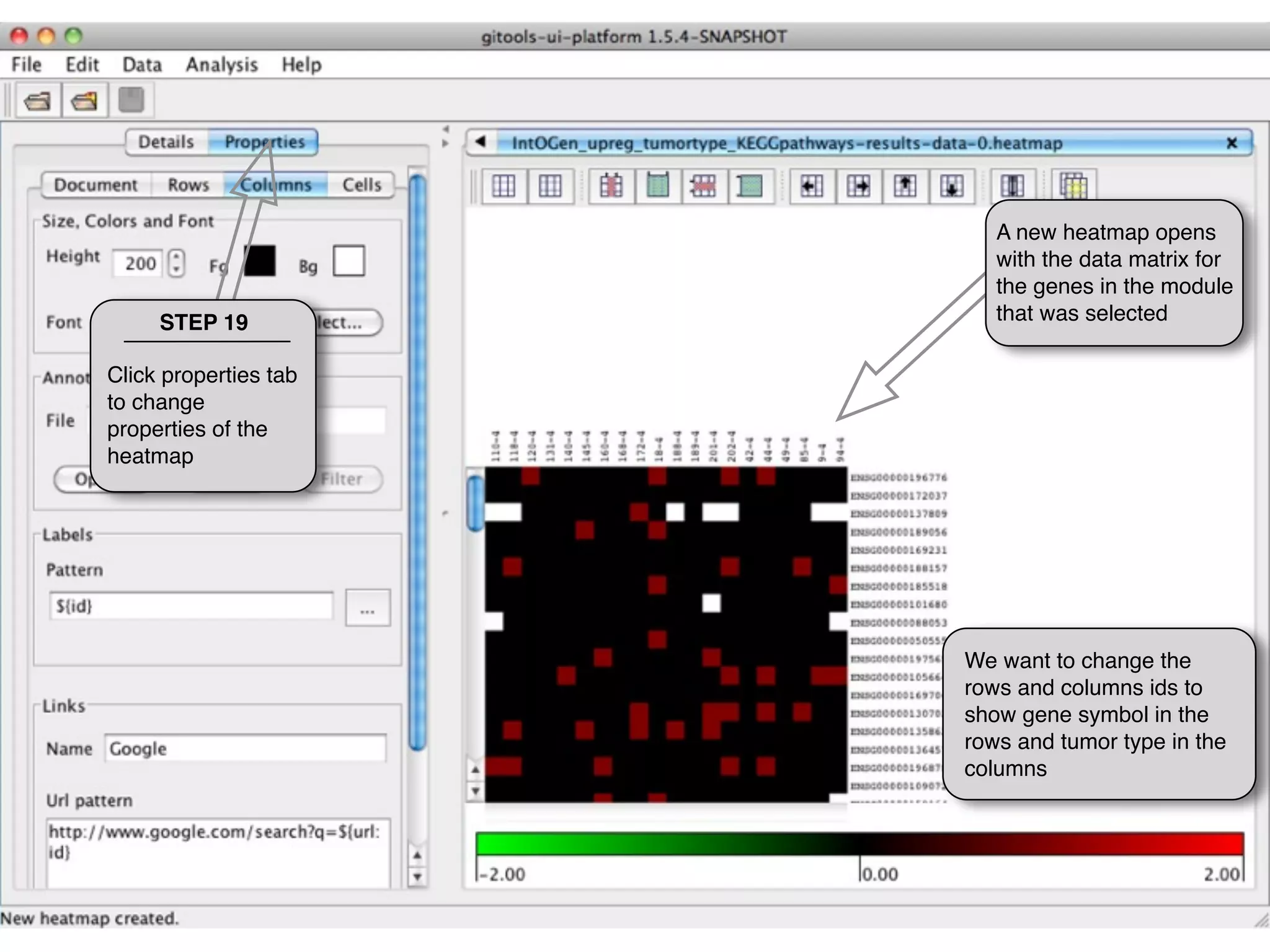 A new heatmap opens
                          with the data matrix for
                          the genes in the module
     STEP 19              that was selected

Click properties tab
to change
properties of the
heatmap




                       We want to change the
                       rows and columns ids to
                       show gene symbol in the
                       rows and tumor type in the
                       columns
 