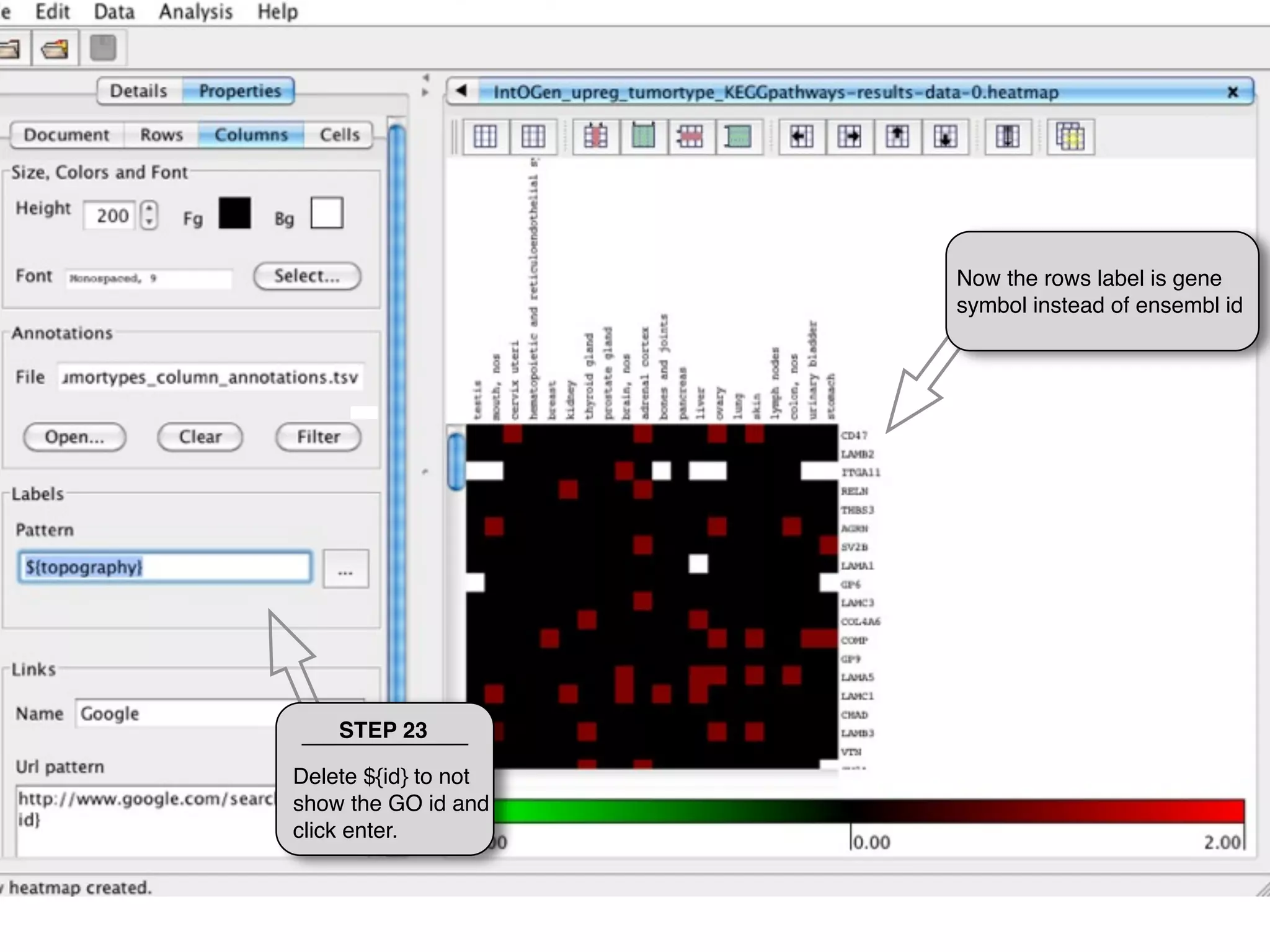 Now the rows label is gene
                      symbol instead of ensembl id




    STEP 23

Delete ${id} to not
show the GO id and
click enter.
 