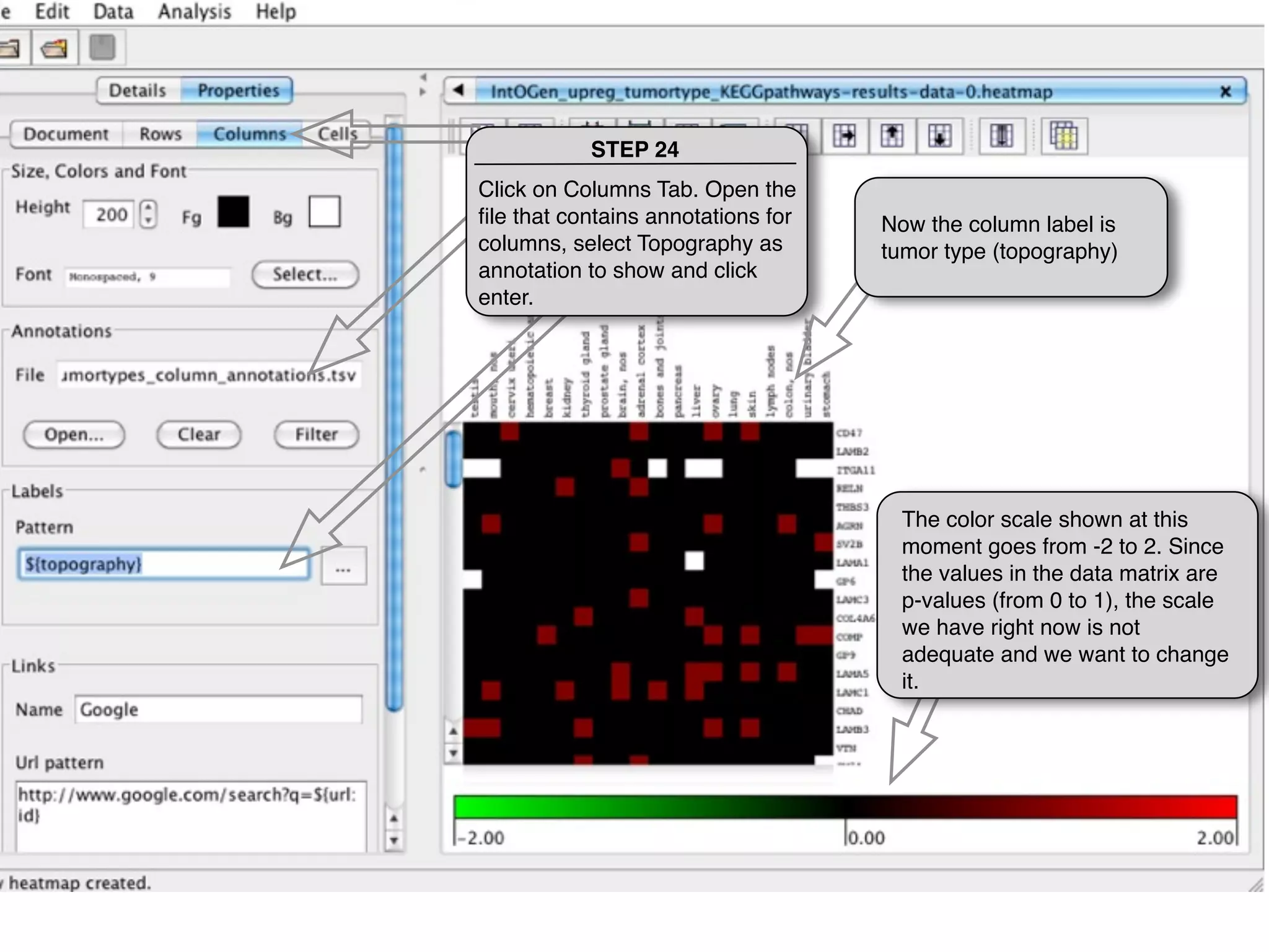 STEP 24
Click on Columns Tab. Open the
ﬁle that contains annotations for   Now the column label is
columns, select Topography as       tumor type (topography)
annotation to show and click
enter.




                                      The color scale shown at this
                                      moment goes from -2 to 2. Since
                                      the values in the data matrix are
                                      p-values (from 0 to 1), the scale
                                      we have right now is not
                                      adequate and we want to change
                                      it.
 