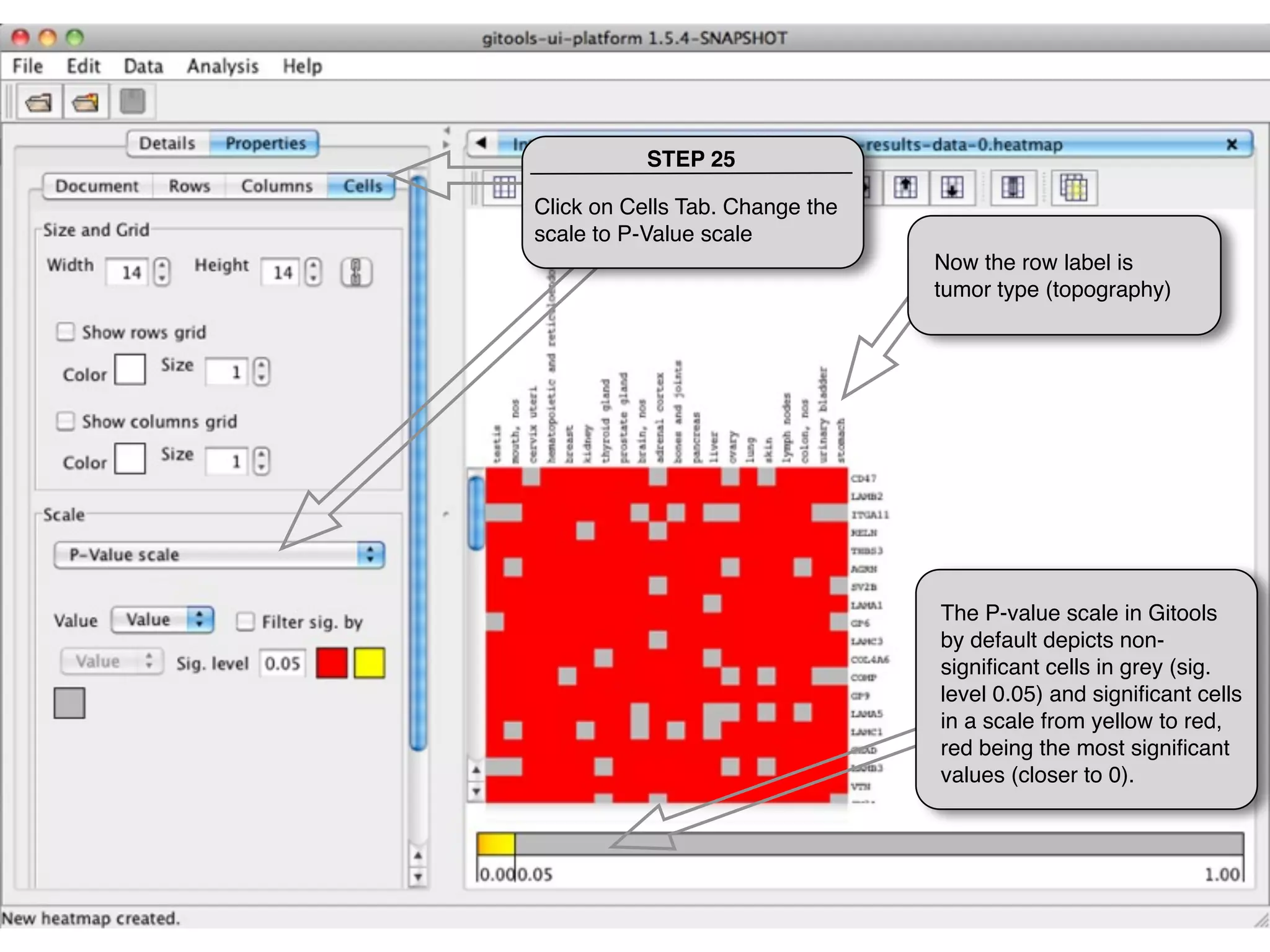 STEP 25

Click on Cells Tab. Change the
scale to P-Value scale
                                 Now the row label is
                                 tumor type (topography)




                                 The P-value scale in Gitools
                                 by default depicts non-
                                 signiﬁcant cells in grey (sig.
                                 level 0.05) and signiﬁcant cells
                                 in a scale from yellow to red,
                                 red being the most signiﬁcant
                                 values (closer to 0).
 