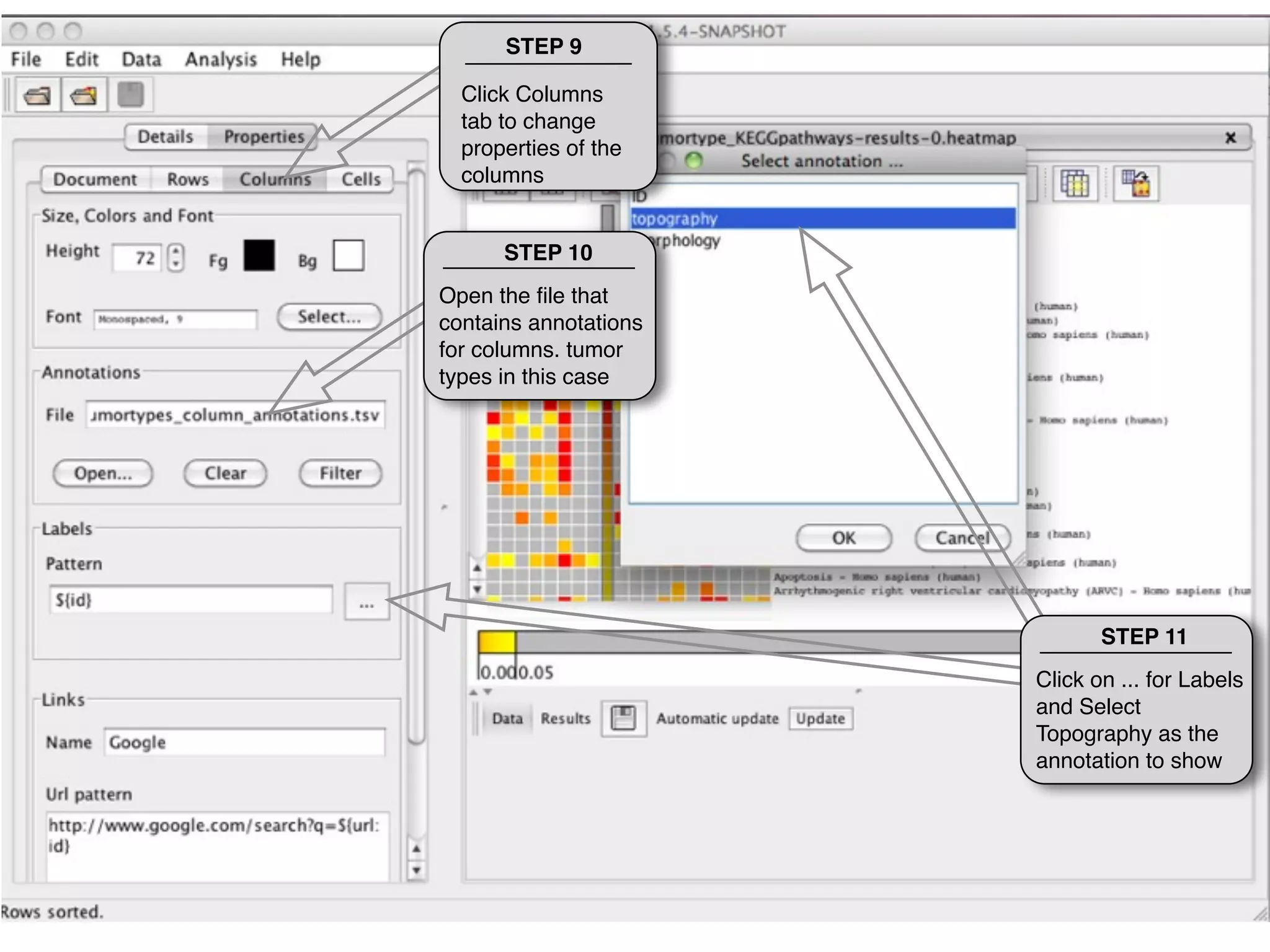STEP 9

  Click Columns
  tab to change
  properties of the
  columns


      STEP 10
Open the ﬁle that
contains annotations
for columns. tumor
types in this case




                              STEP 11
                       Click on ... for Labels
                       and Select
                       Topography as the
                       annotation to show
 