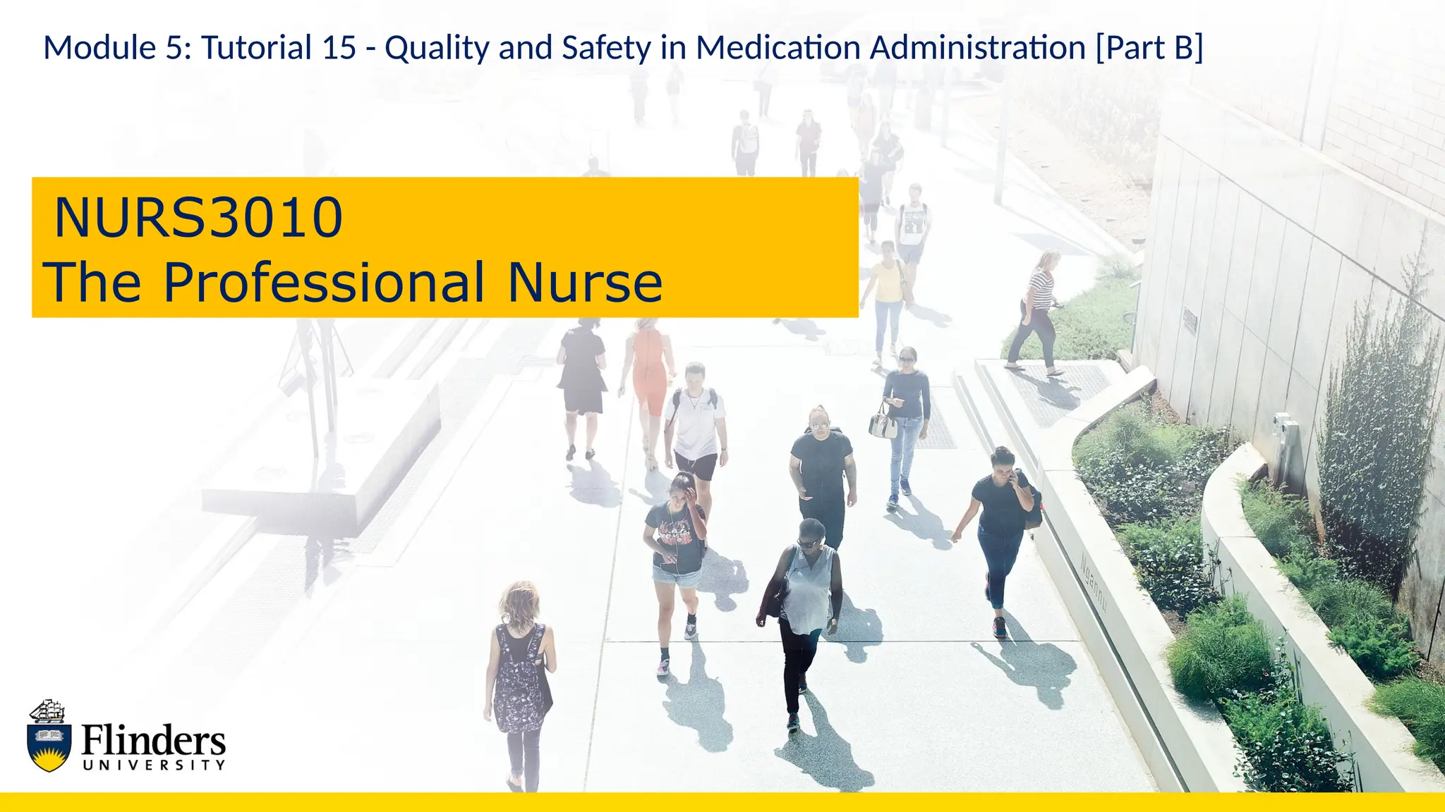Module 5: Tutorial 15 - Quality and Safety in Medication Administration [Part B]
NURS3010
The Professional Nurse
 
