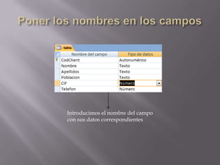 Introducimos el nombre del campo
con sus datos correspondientes

 