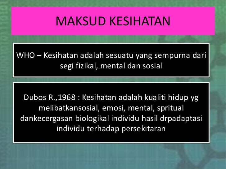 maksud macai kamus dewan maksud macai kamus dewan