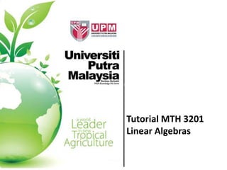 Tutorial MTH 3201
Linear Algebras
 