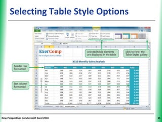 Selecting Table Style Options        XP




New Perspectives on Microsoft Excel 2010        35
 