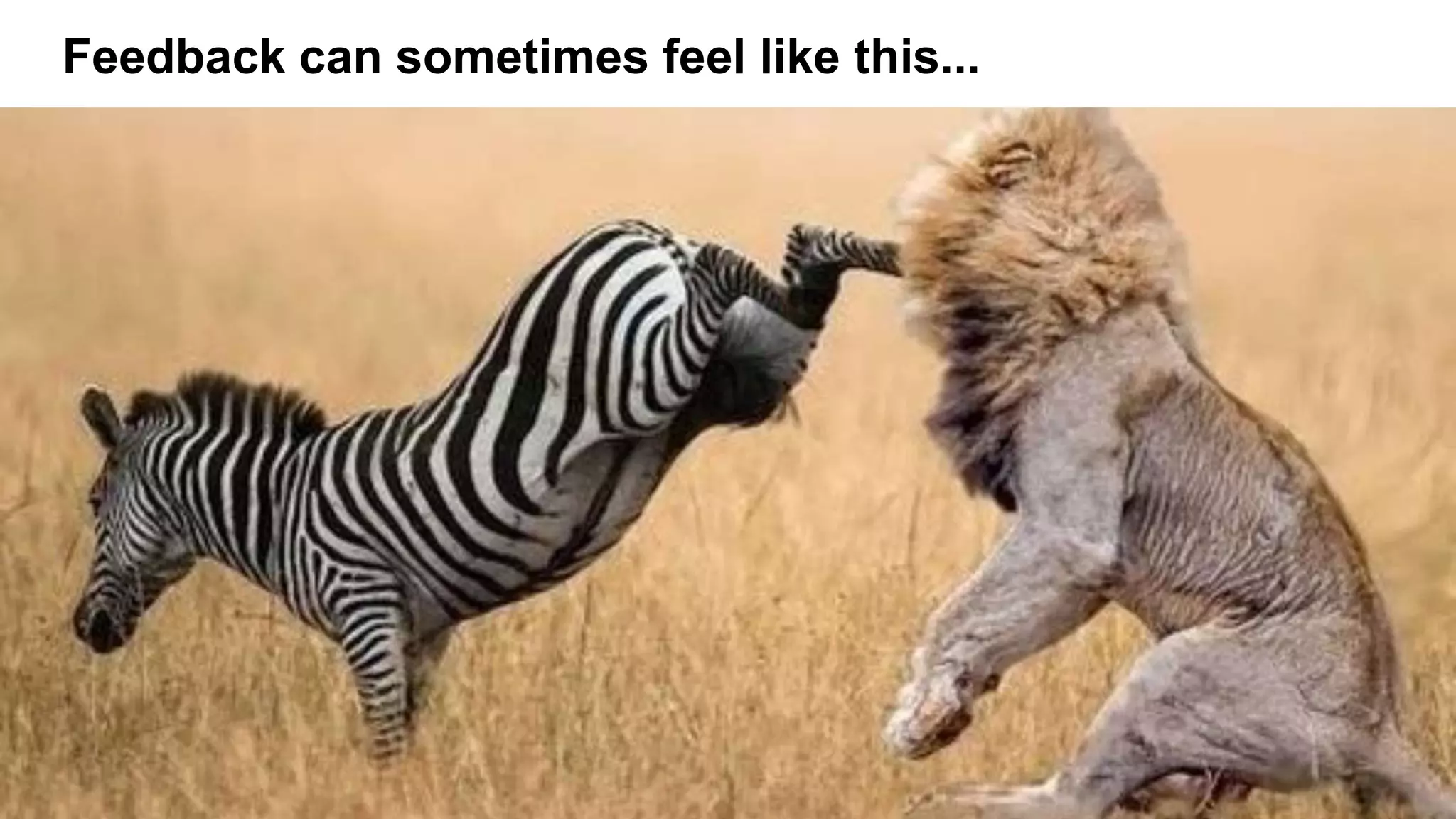 Feedback can sometimes feel like this...
 