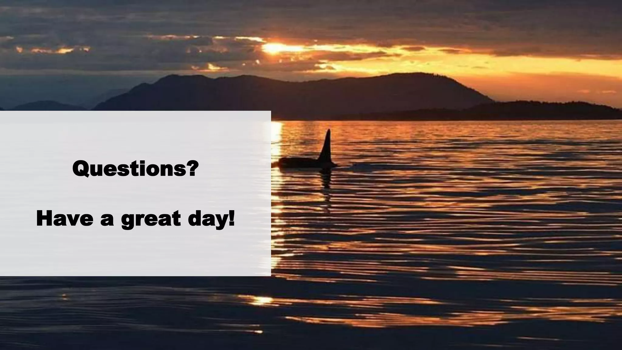 Questions?
Have a great day!
 